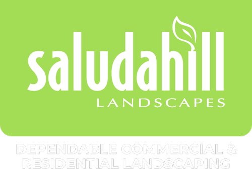 saludahill landscapes